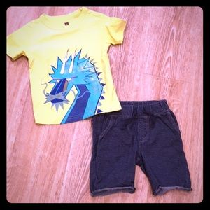 Tea Shorts and Tee, Size 3T